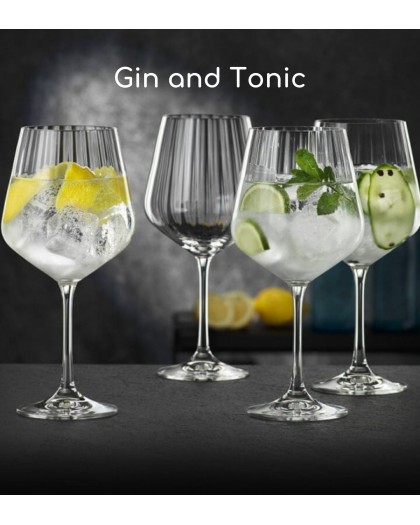 https://www.parousiasi.gr/image/cache/catalog/digital4u/blog/gin-tonic-nachtmann-420x525.jpg
