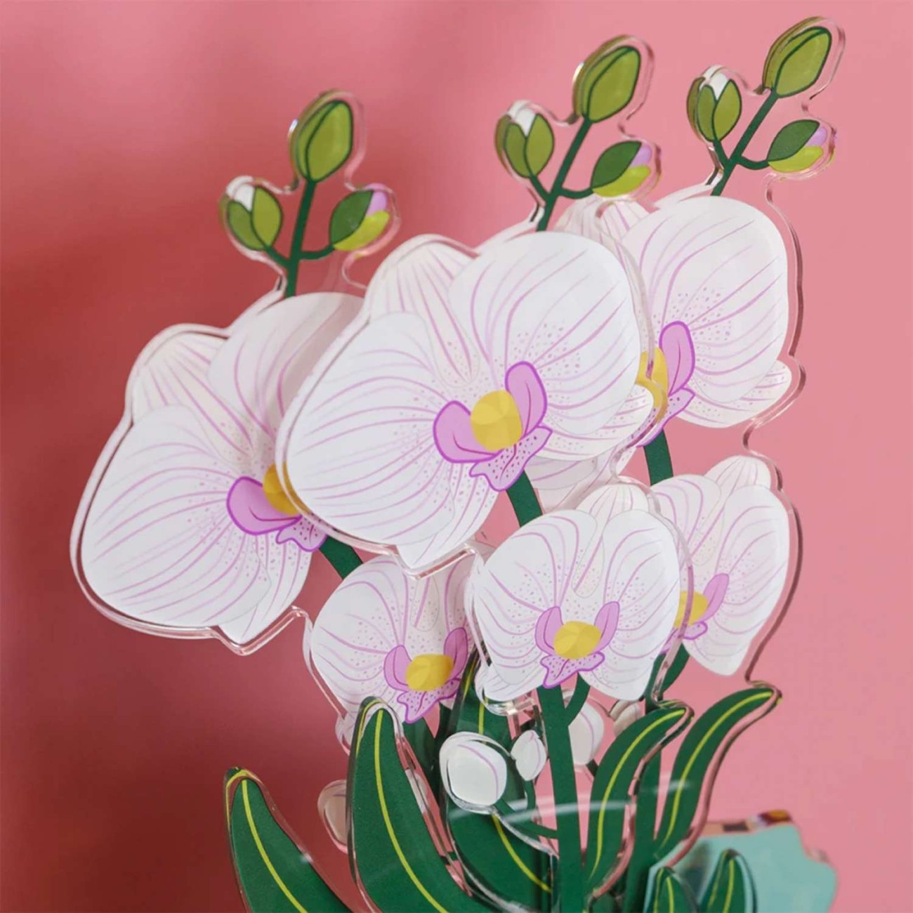 Vesta Λουλούδι Ορχιδέα λευκή large σειρά Funny Flowers Τεχνητά άνθη