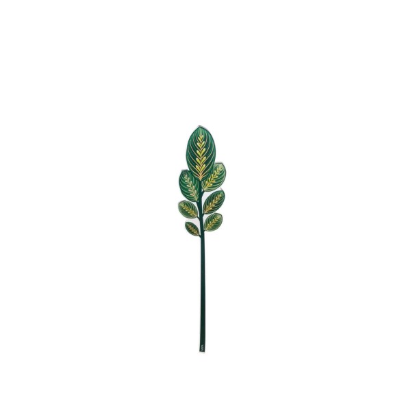 Vesta Calathea πράσινο small σειρά Funny Flowers