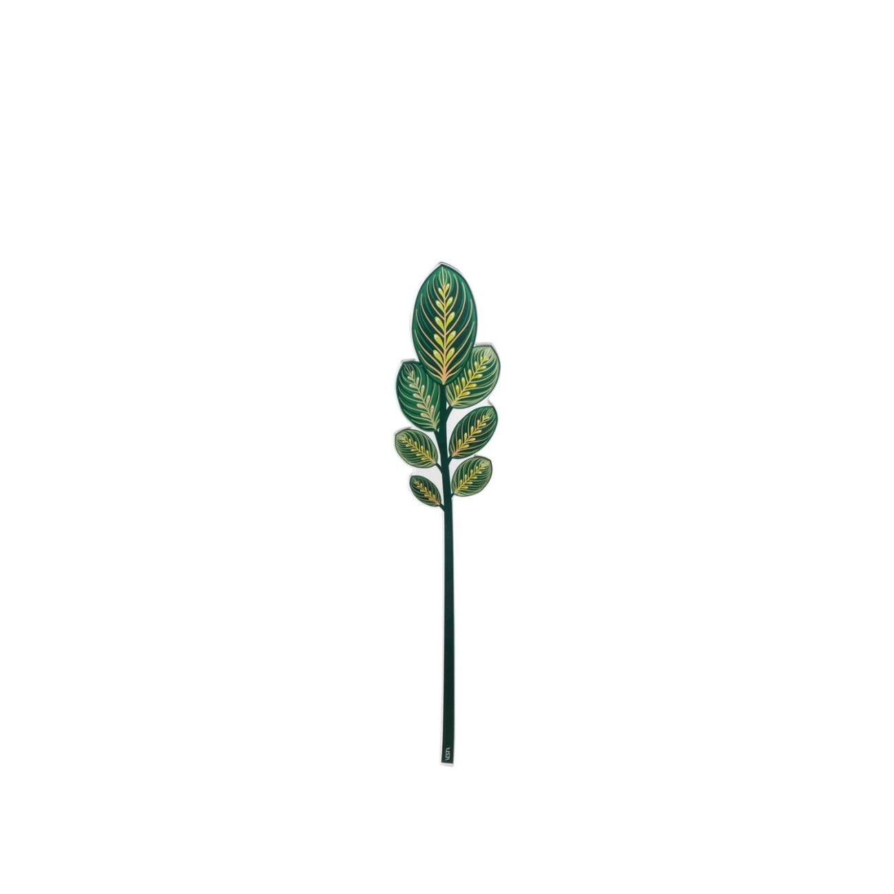 Vesta Calathea πράσινο large σειρά Funny Flowers Τεχνητά άνθη