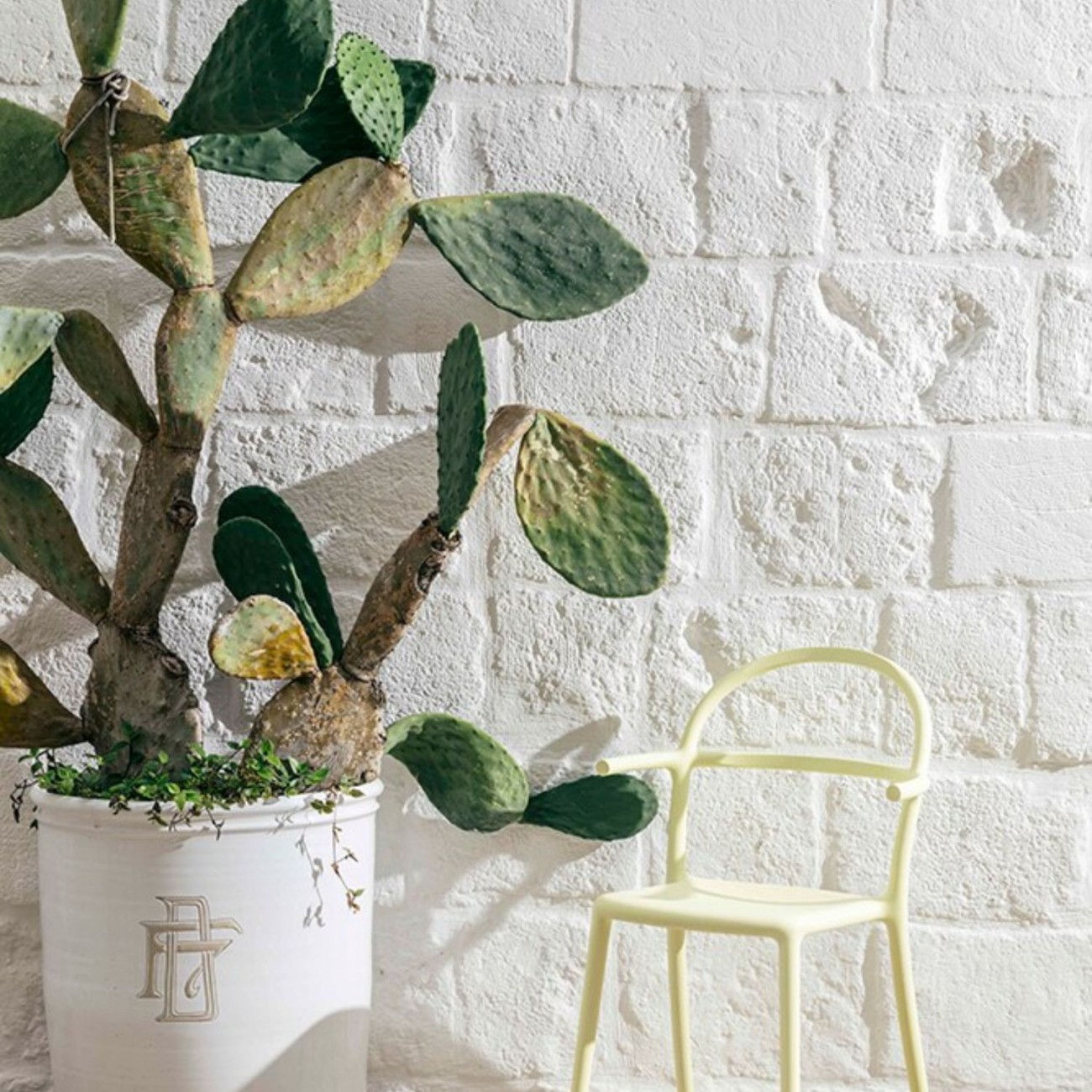 Kartell Καρέκλα sage green σειρά Generic C Καρέκλες