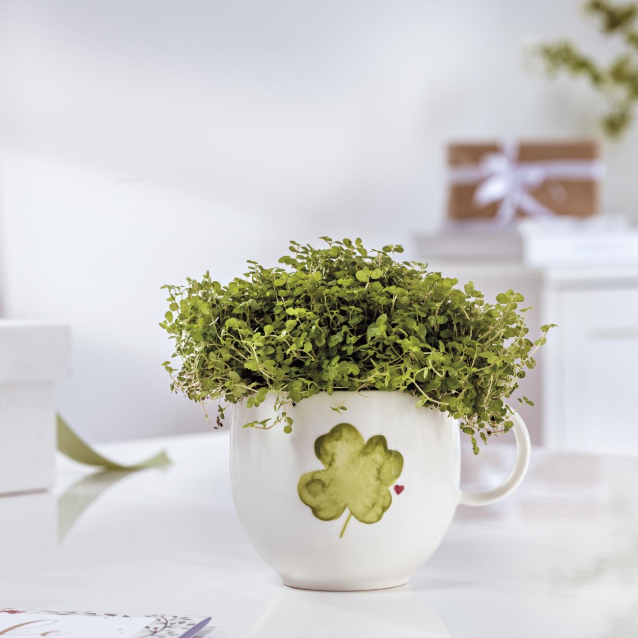 Like Villeroy&Boch Κούπα 0,29 λτ. Good Luck σειρά With Love Κούπες / Φλυτζάνια