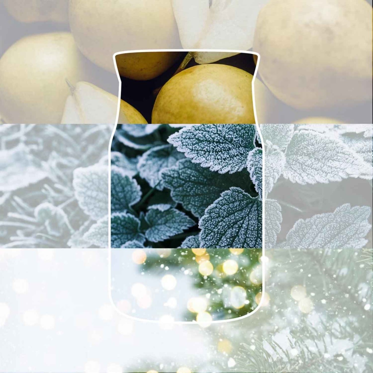 Yankee Candle Αρωματικό Κερί Signature σε Γυάλινο Δοχείο Large σειρά Winter walk (567γρ.) Χριστουγεννιάτικα