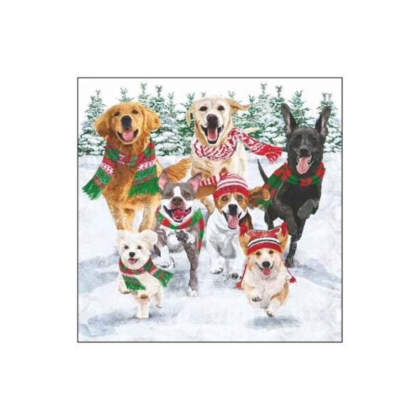 Paperproducts Design - PPD Χαρτοπετσέτα 25x25 εκ. σειρά Snow Hounds Paperproducts Design - PPD Χαρτοπετσέτα 25x25 εκ. σειρά Snow Hounds