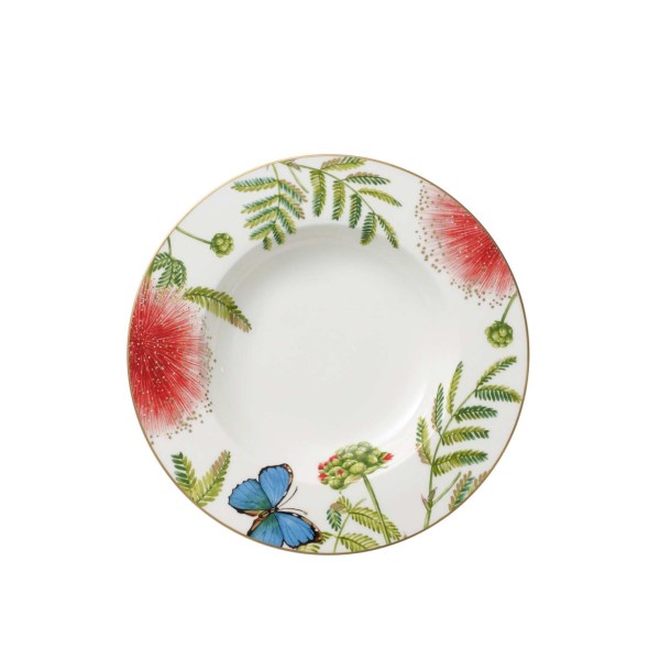 Villeroy & Boch Πιάτο σούπας 24,8 εκ./330ml στρογγυλό σειρά Amazonia